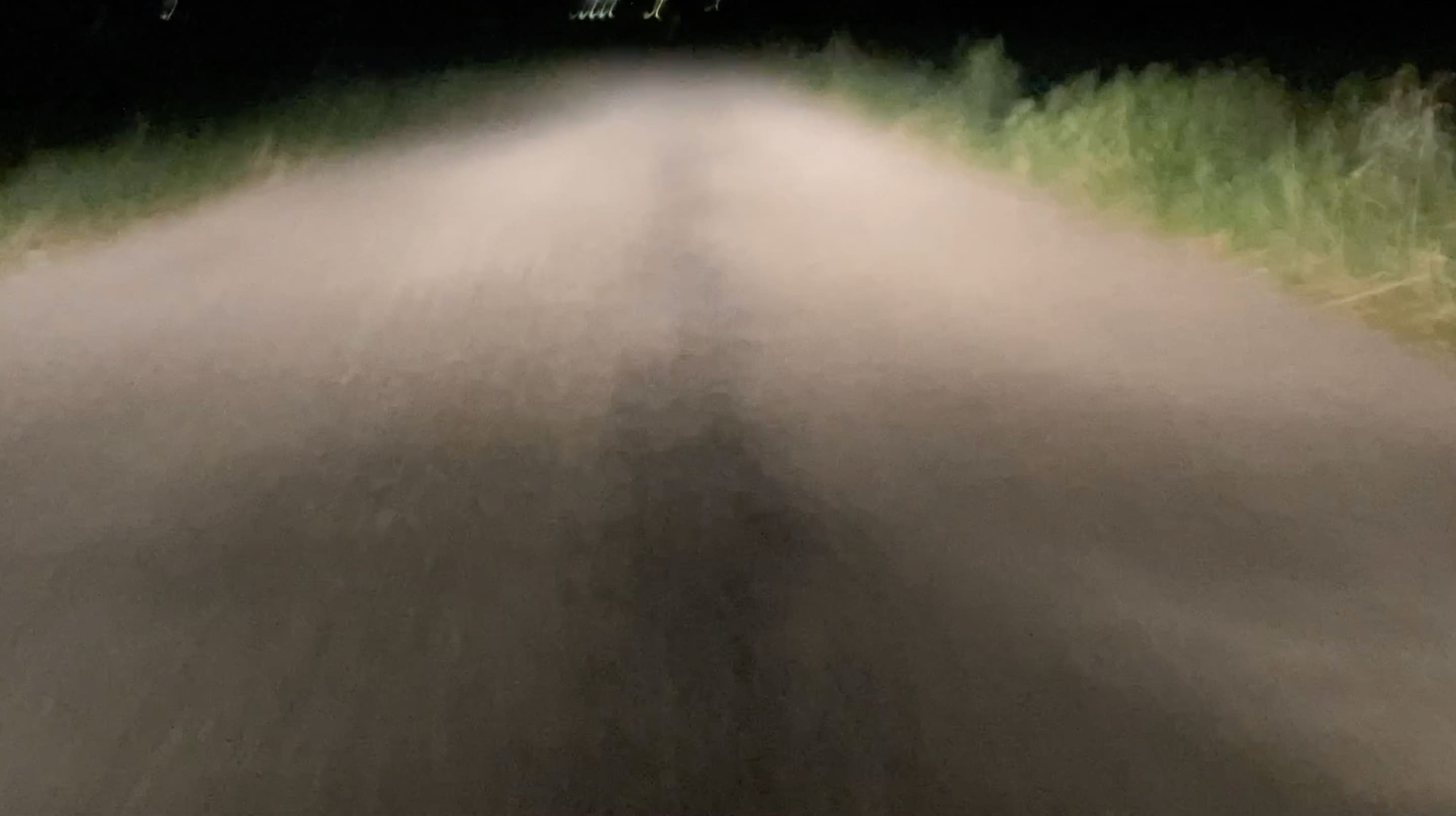 5e photographie de Presence où on voit une route de campagne. Le plan est légèrement flou et filmé en plongée depuis la plaque d'immatriculation.